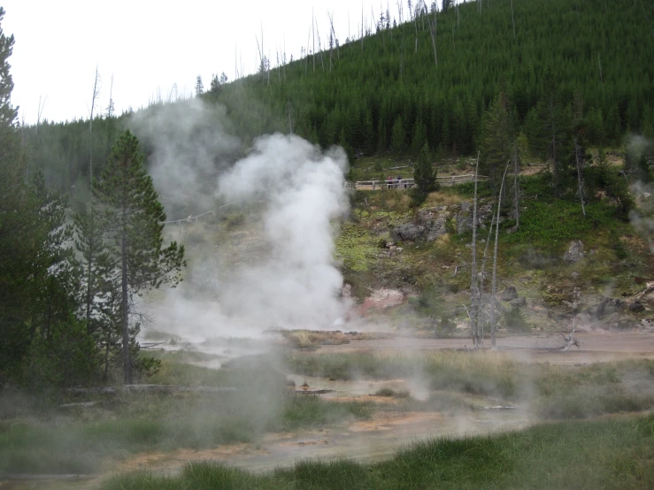 a geyser surrounded by a hillside with trees