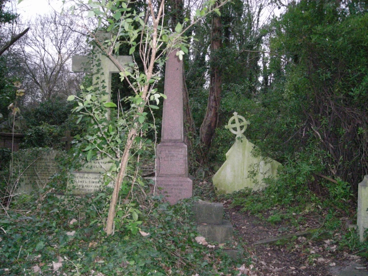 three green tombstones surrounded by trees, bushes and vines