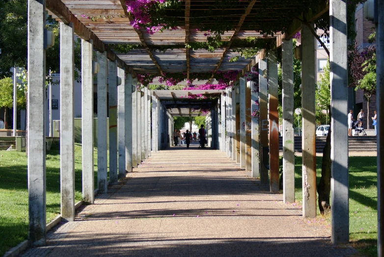 an area with large columns covered in purple flowers