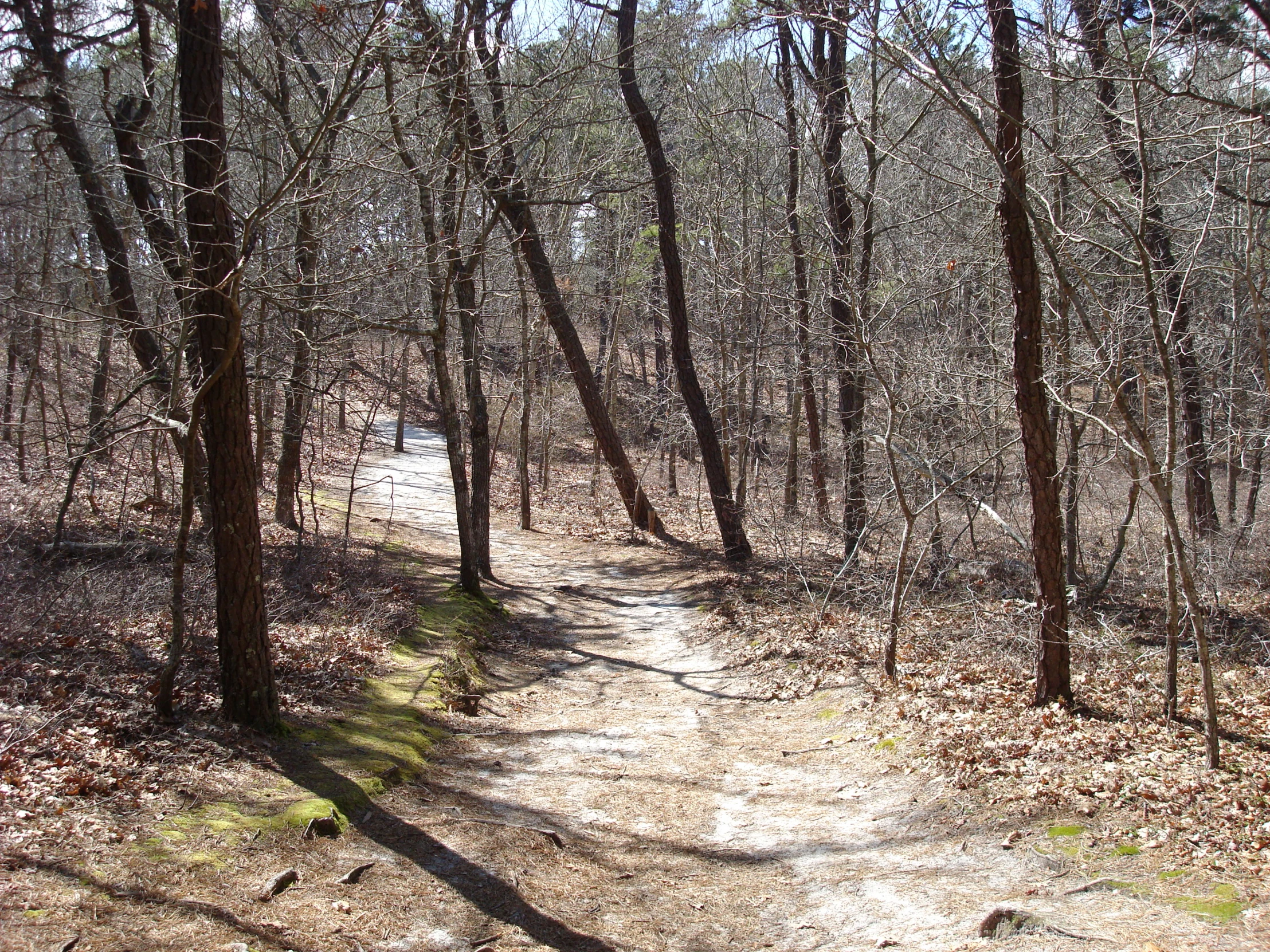 a path through the woods leading to a sign