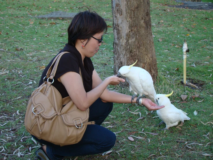 a woman is petting a white bird in the park