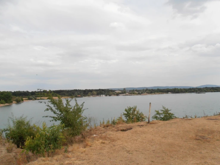 a body of water with some trees near by