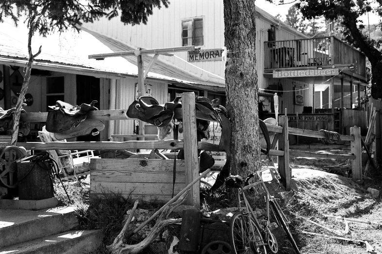 two men work together to make furniture around a tree