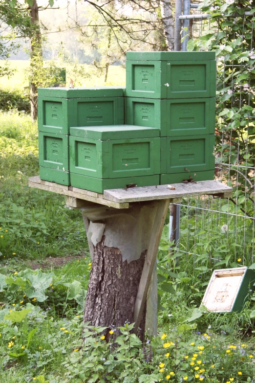 a large stack of green beehive sitting on top of a tree