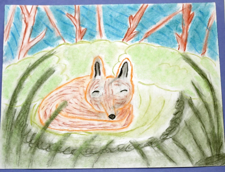 a colored drawing of a small animal laying in the grass