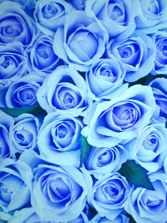 an arrangement of blue roses on a table