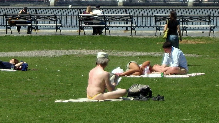 people enjoy the fresh grass in the park