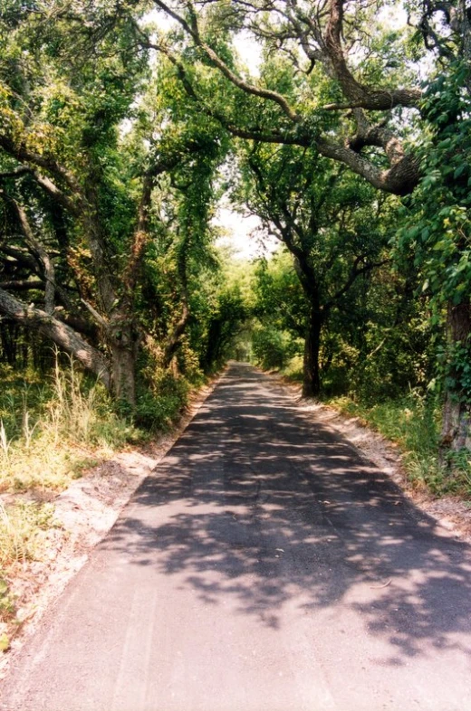 a large road surrounded by lush green trees
