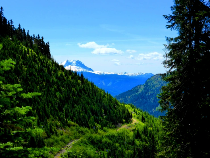 a mountain road winds through an area that is green