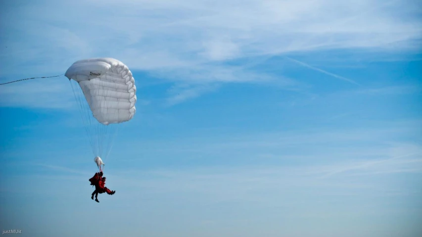 a person on the beach is flying a parachute with two strings