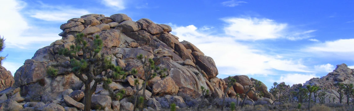 rock formations and trees on the desert with clouds