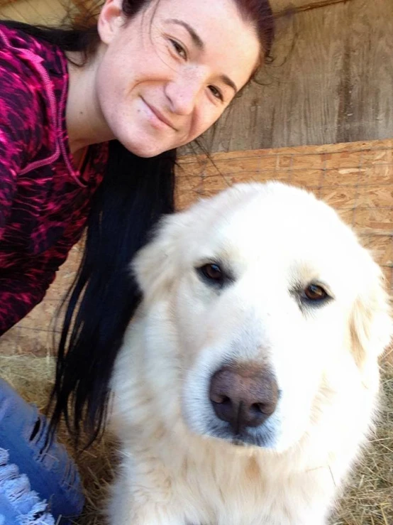 a woman and a dog are in a pen