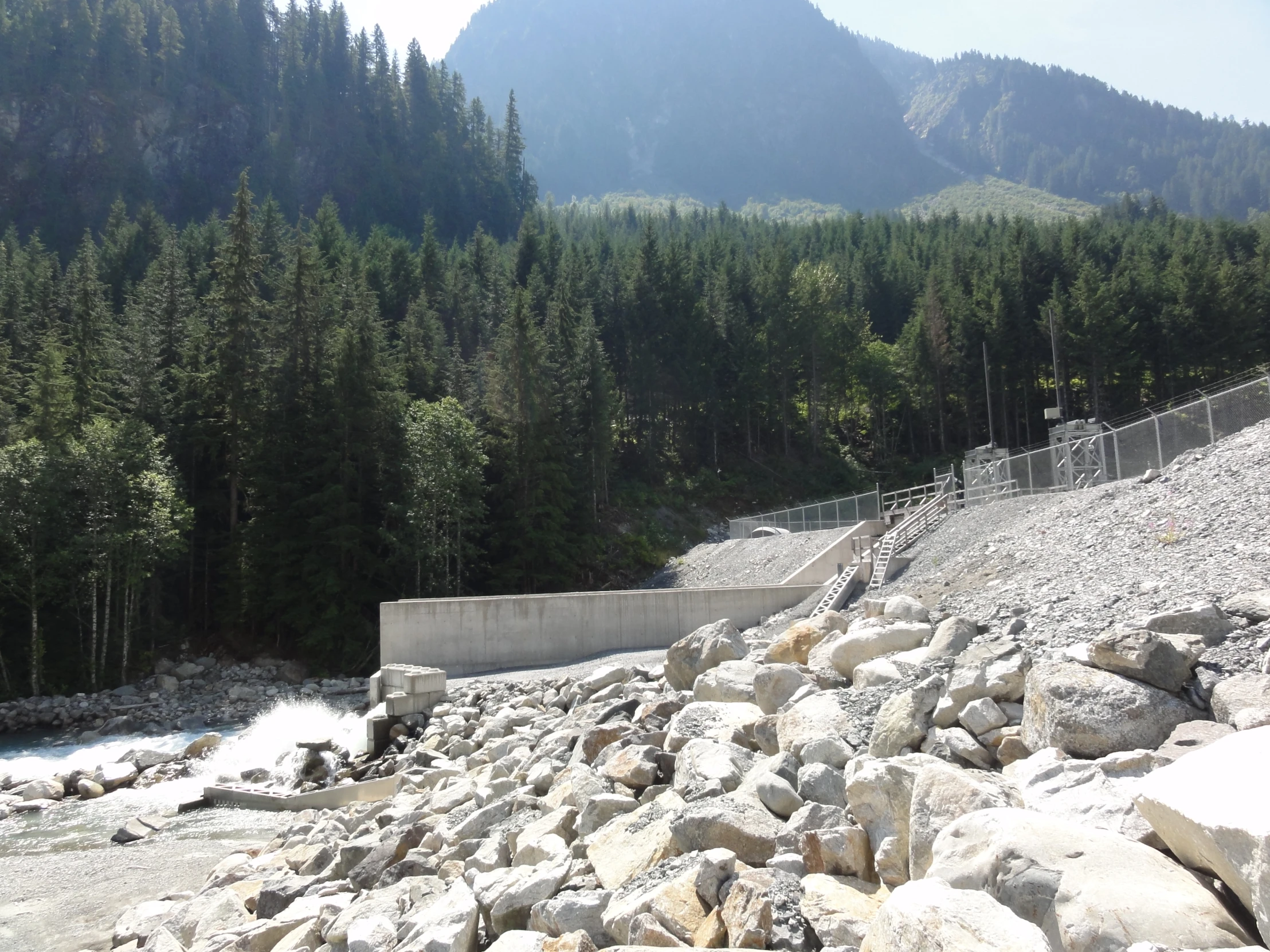 a very rocky riverbed next to a bunch of trees