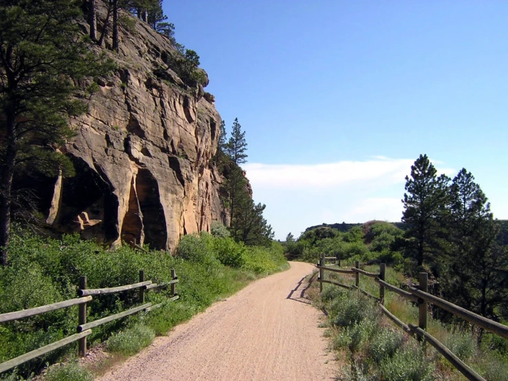 a road with a mountain and trees behind it