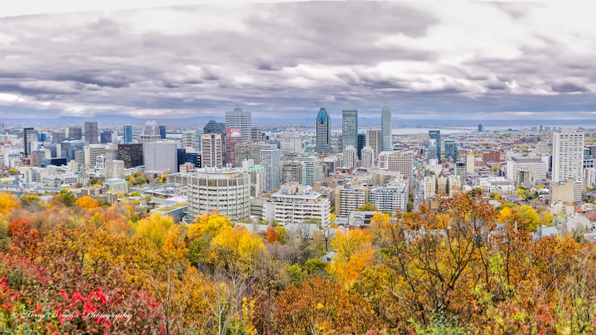 a view from the top of the hill of a city with a forest