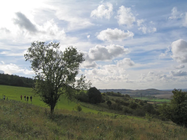 two people walking in an open grass field