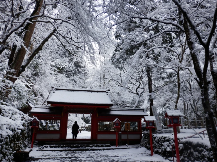 a gazebo stands in a snowy park in the winter