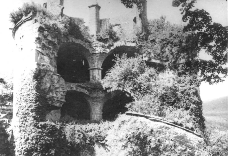 the tower is covered with vines and other trees