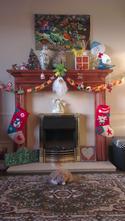 a cat is laying in the middle of a decorated living room