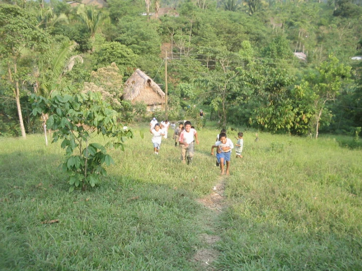 a group of people walking up a path