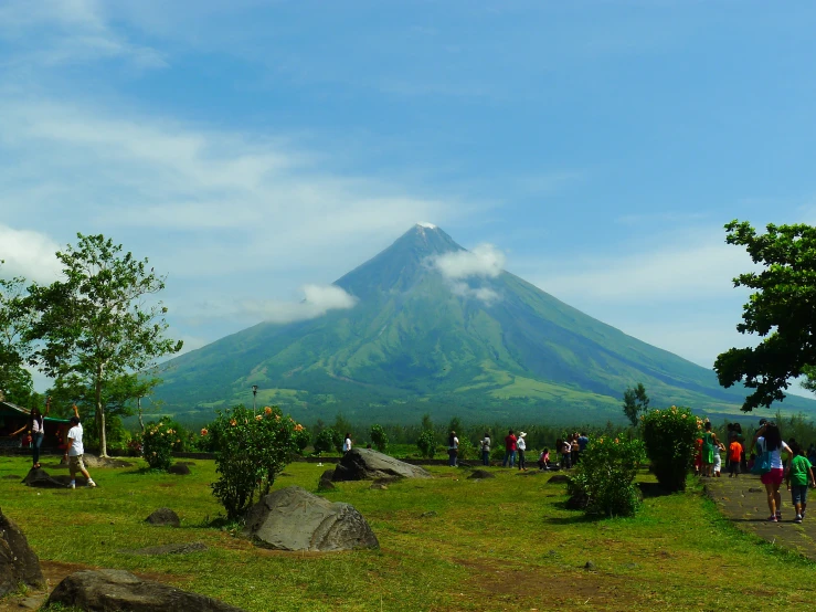 a crowd of people walking down a hill near a lush green forest