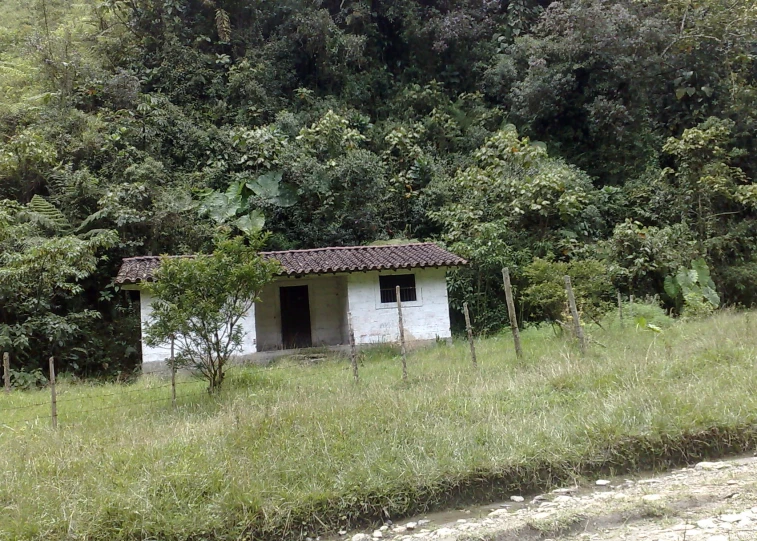 a rural house with the front door open and some trees around