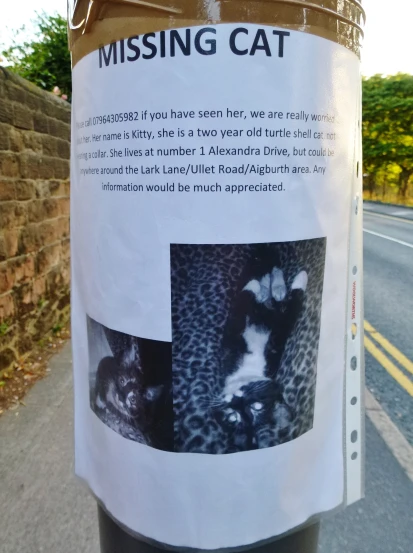 a post with a missing cat sign attached