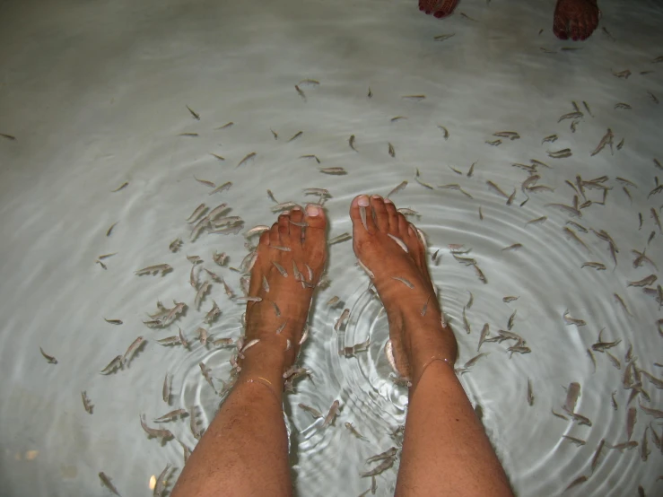 someone standing in water with fish coming from them