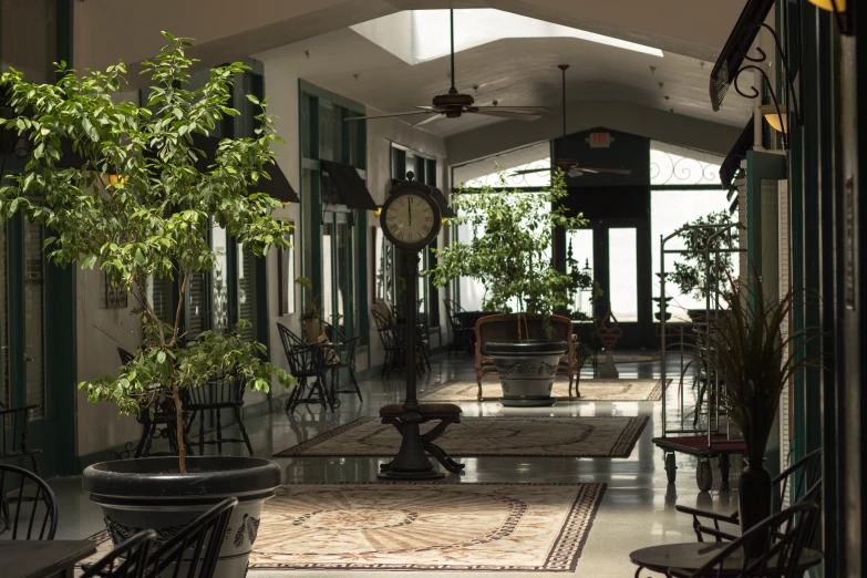 an atrium area with clocks, chairs and plants