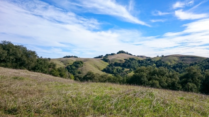 a hill with several hills and trees in the background