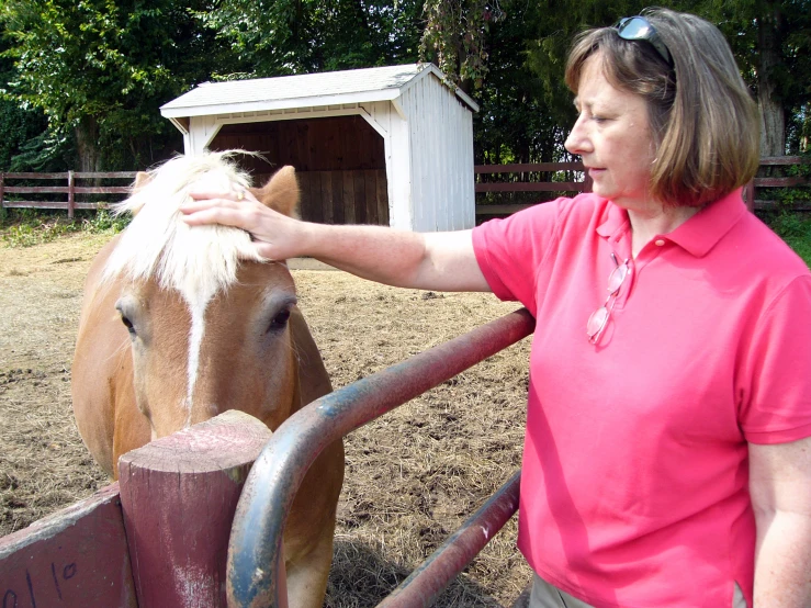 a woman standing next to a horse in a corral