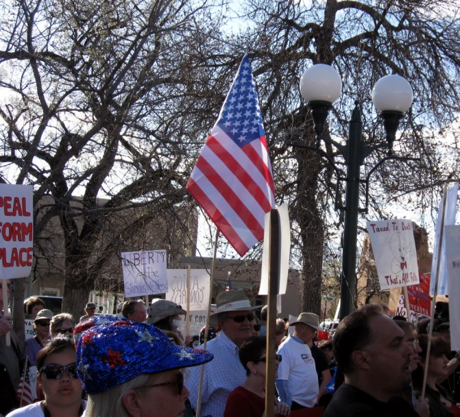 a group of people holding up flags and signs
