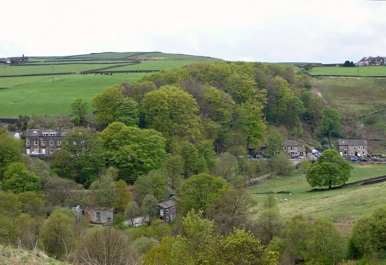 a field that has houses in it