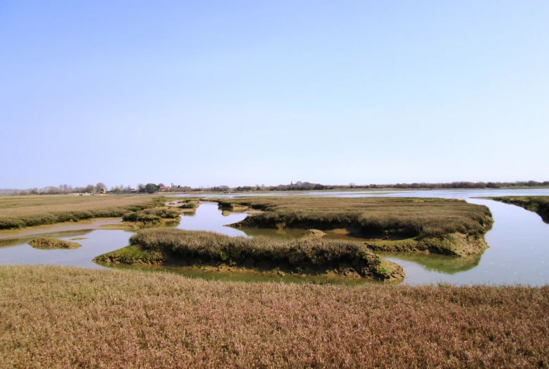 a body of water in an open field