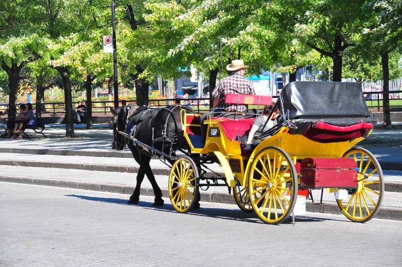 a horse drawn carriage passing by the street