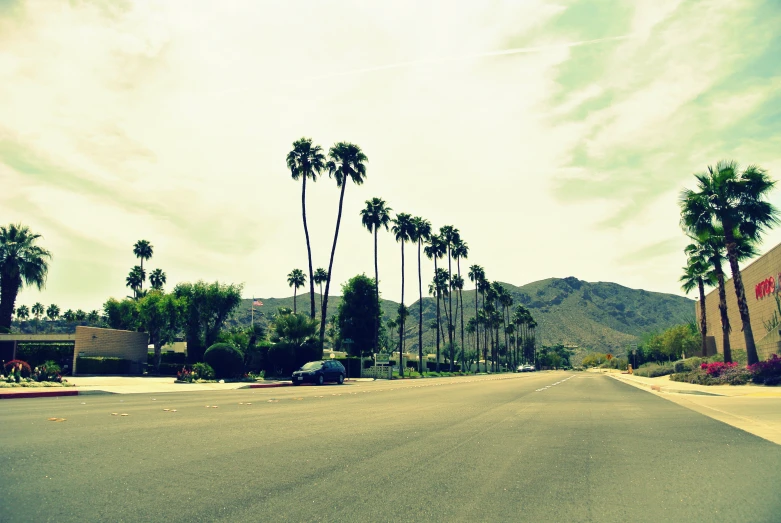 a very wide road with palm trees in the background