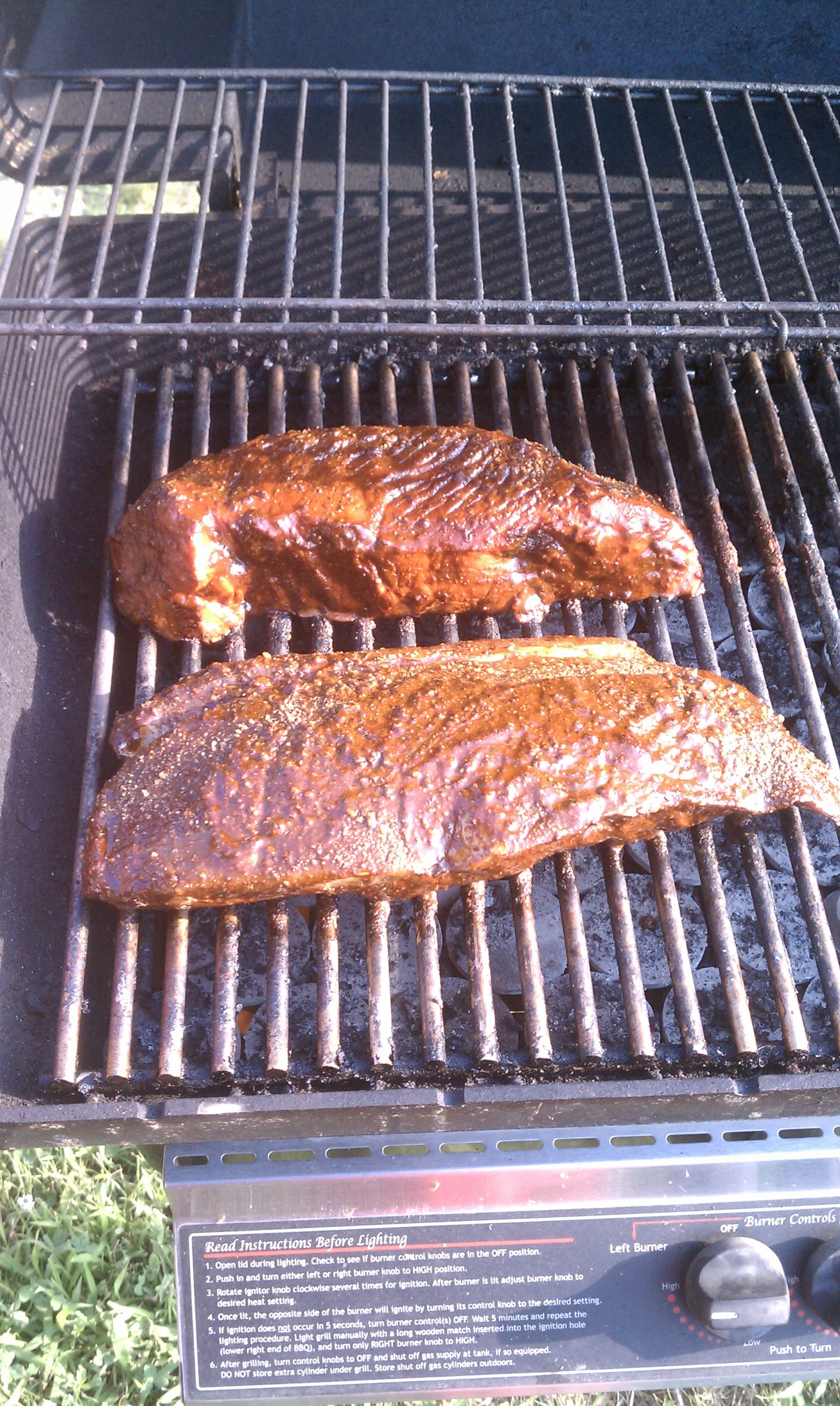 two pieces of meat on top of a grill