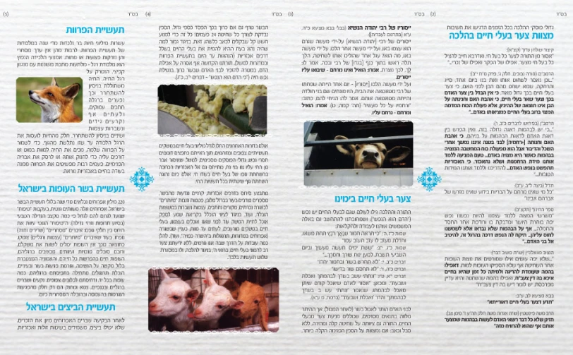 a page of an animal book is shown in english