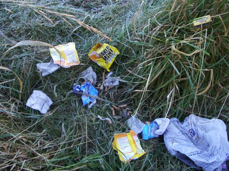litter bag and trash on the ground on the grass