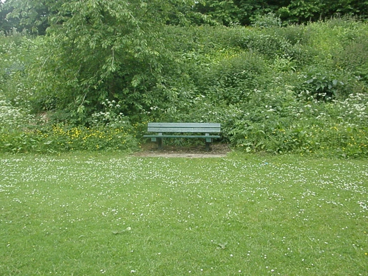 a bench in the middle of grass and weeds