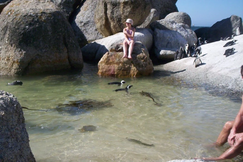 a person sitting on a rock in the water