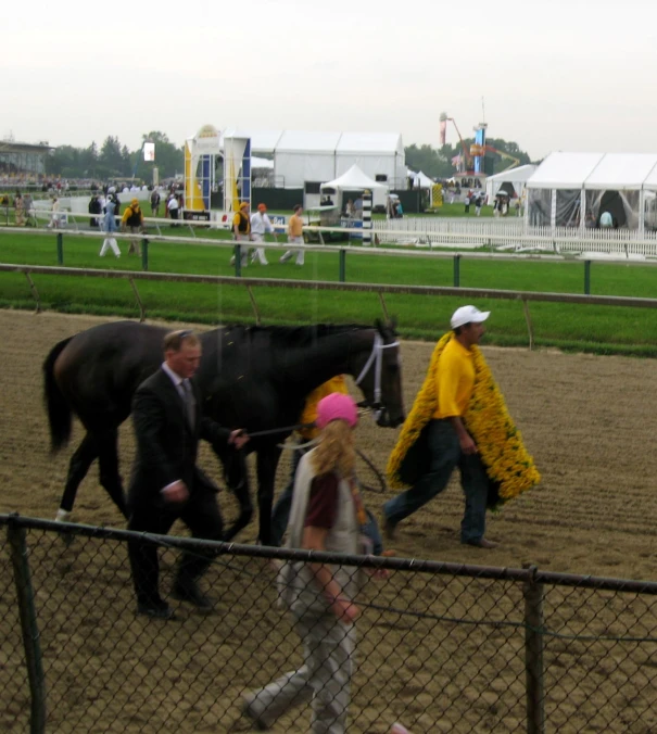 two people leading two horses into the ring