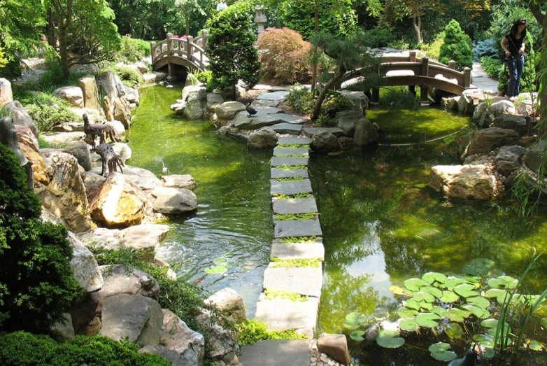 an outside area with water and plants and rocks