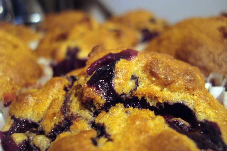 freshly made blueberry muffins on a plate ready to eat