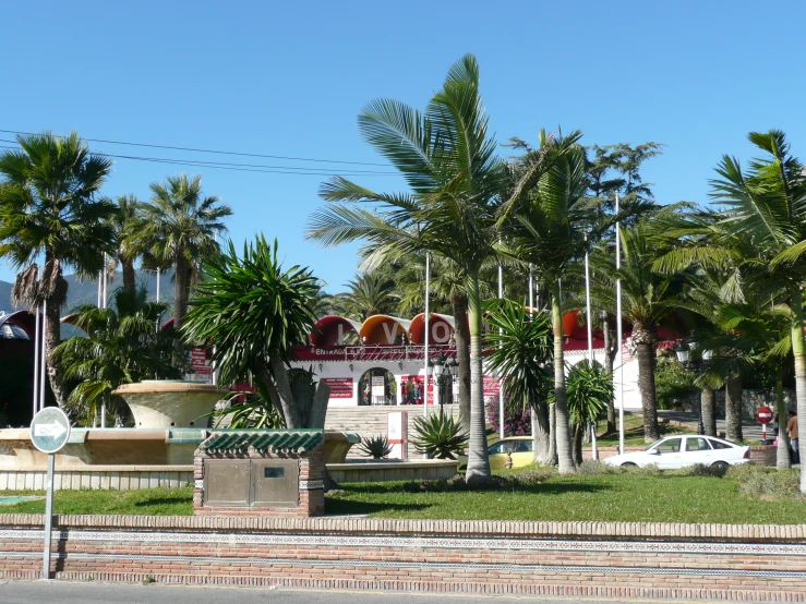 the house is on a hill with a lot of palm trees