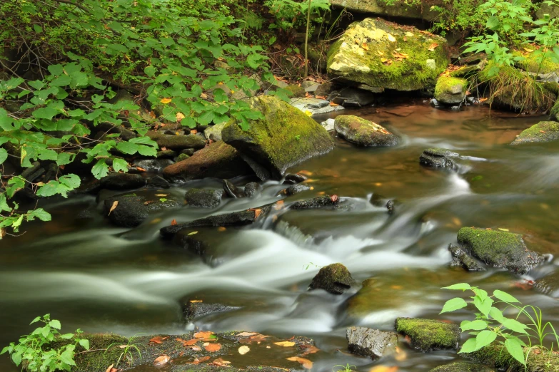 a stream with many rocks and plants moving water