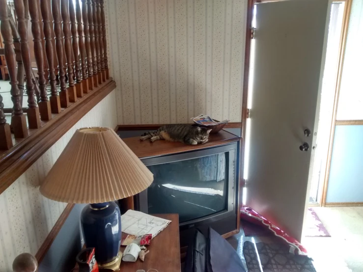 a cat on a table and a lamp in the corner