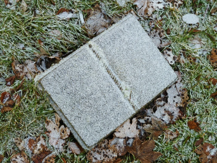 a book that is sitting on some leaves in the grass