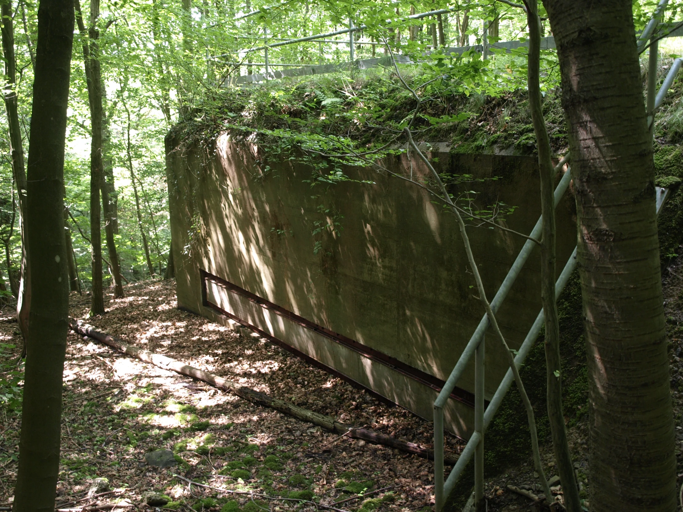 a large rock sitting in the middle of a forest