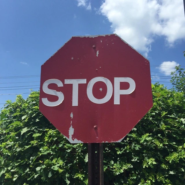 a stop sign that is on a pole by some bushes